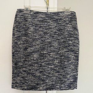 Ann Taylor Petite Pencil Skirt